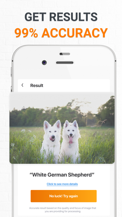 Dog Scanner Dog Breed Photo ID Screenshot