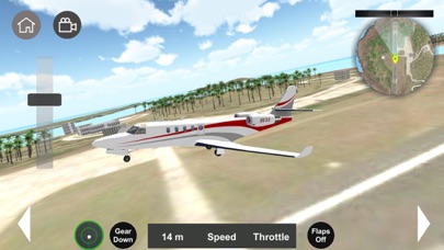 Screenshot #2 pour Flight Sim 2024