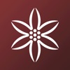 Alemany, Experiencia B2B icon