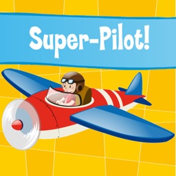 Poke Pilot Airplane