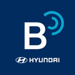 Hyundai BlueLink India