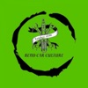 Bendcc icon
