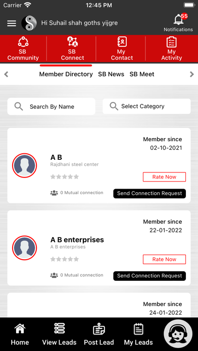 Stainless Bazaar Screenshot