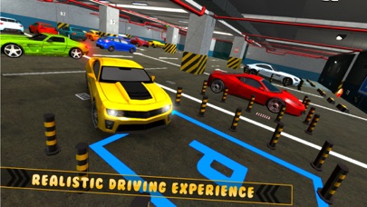 Real Car Parking Dr Parker Sim Screenshot