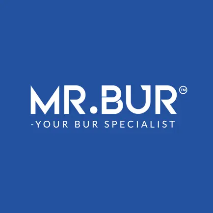 MR BUR Читы