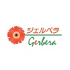 ジェルベラ gerbera icon