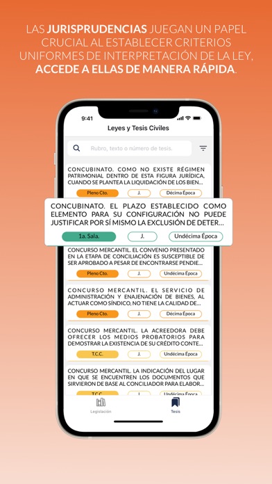Leyes y Tesis Civiles Screenshot
