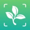 Icon Plant Master – Identify Plants