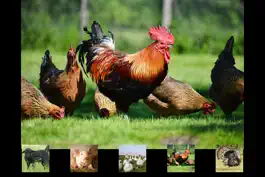 Game screenshot Farm Touch Sounds apk