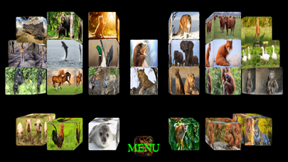 Animal Touch Sounds Screenshot