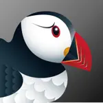 Puffin Incognito Browser App Alternatives