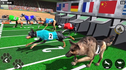 Dog Racing Championship Game Screenshot