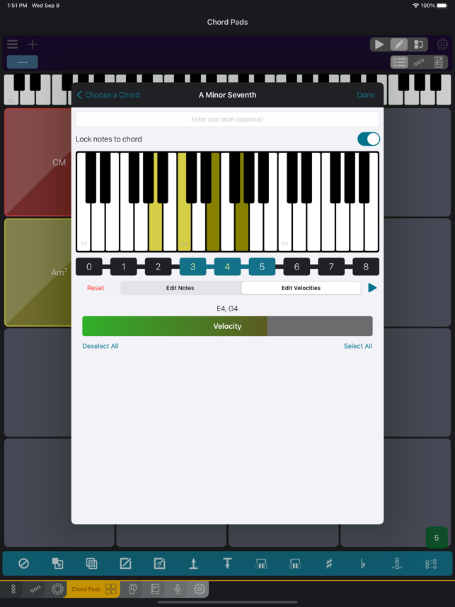 Tonality: Music Theory Screenshot