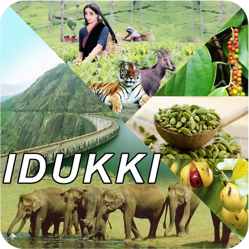 Idukki icon