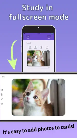 Flashcards Maker screenshot 2