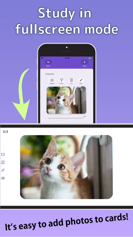 Flashcards Maker