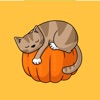 Doodlecats: Halloween icon