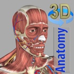 Download 3D Anatomy app