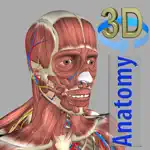 3D Anatomy App Contact