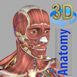 Ícone do app 3D Anatomy