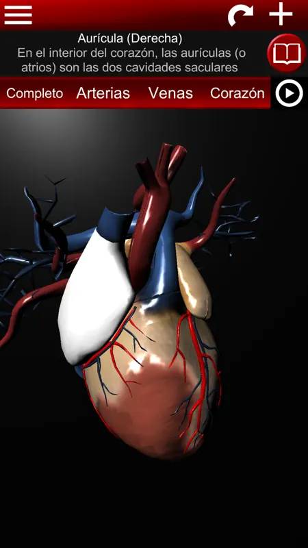 Sistema Circulatorio en 3D screenshot 4 of 6