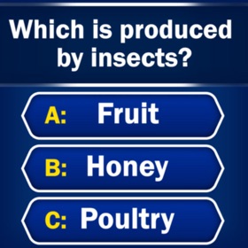 Screenshots (5) Trivia - Quiz Games