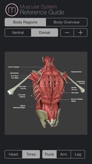 Muscle Study Guide Packのおすすめ画像2