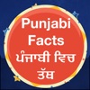 Icon Punjabi Facts & Punjabi Status