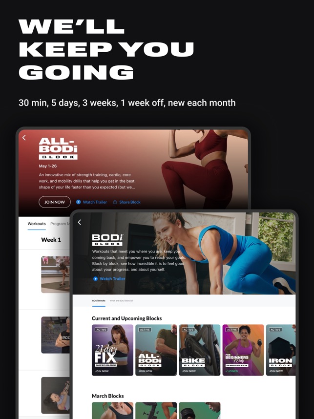 Plan A 21 Day Fix Challenge Tracker Bodi Super Block (Download Now) 