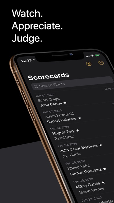 Fight Scores Screenshot