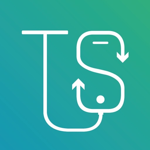 TS Testing Icon