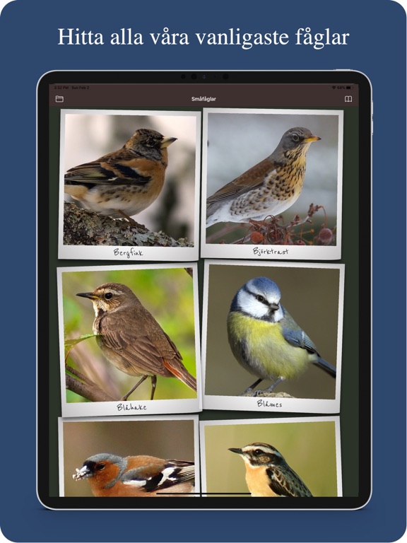 Screenshot #4 pour Våra fåglar