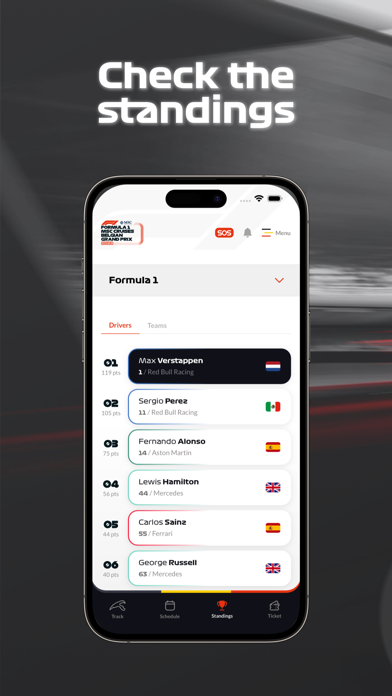 F1 Spa GP Screenshot