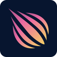 PLANK-Safe and Fast VPN