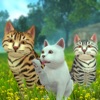Kitty Cat Simulator - iPadアプリ