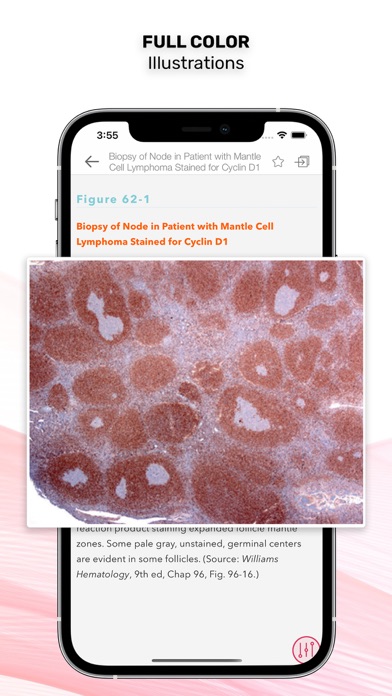 Williams Manual of Hematology Screenshot