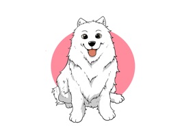 Maya Traveling Samoyed