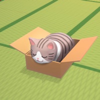 ダンボールと猫 - Cardboard Cat