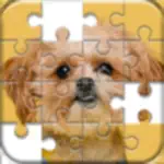 Jigsaw Puzzles Classic Games App Positive Reviews