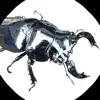 Beetle stag clash App Delete