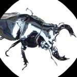 Download Beetle stag clash app