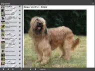 Breeds of Dogs ipad bilder 1