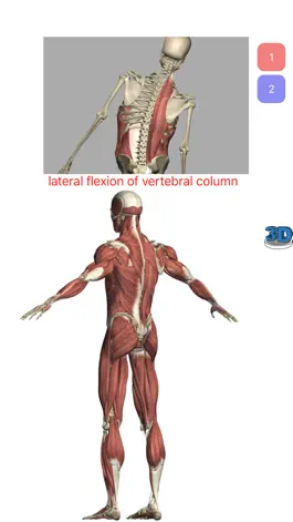 Game screenshot Visual Anatomy Lite hack