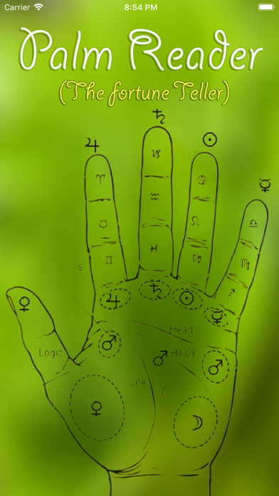 PALM READER The Fortune Tellerのおすすめ画像1