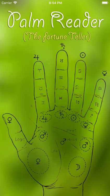 PALM READER The Fortune Teller