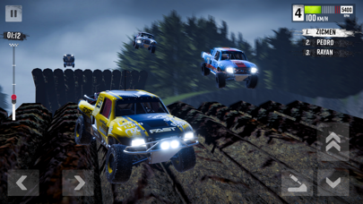 Rally Race: Offroad Screenshot