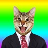 Get Animated Cat Stickers . for iOS, iPhone, iPad Aso Report