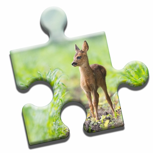 Lovely Animals Puzzle