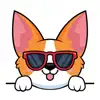 Shy cute corgi App Feedback