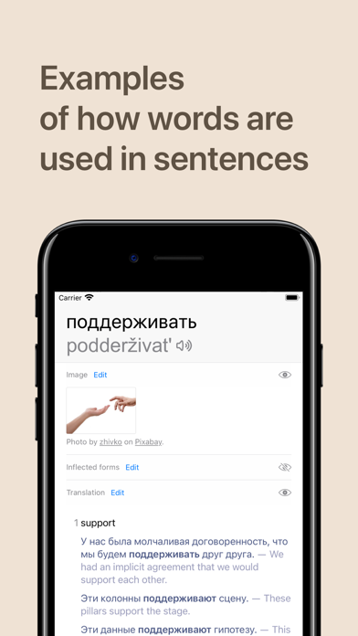 Redict - Russian and English Screenshot